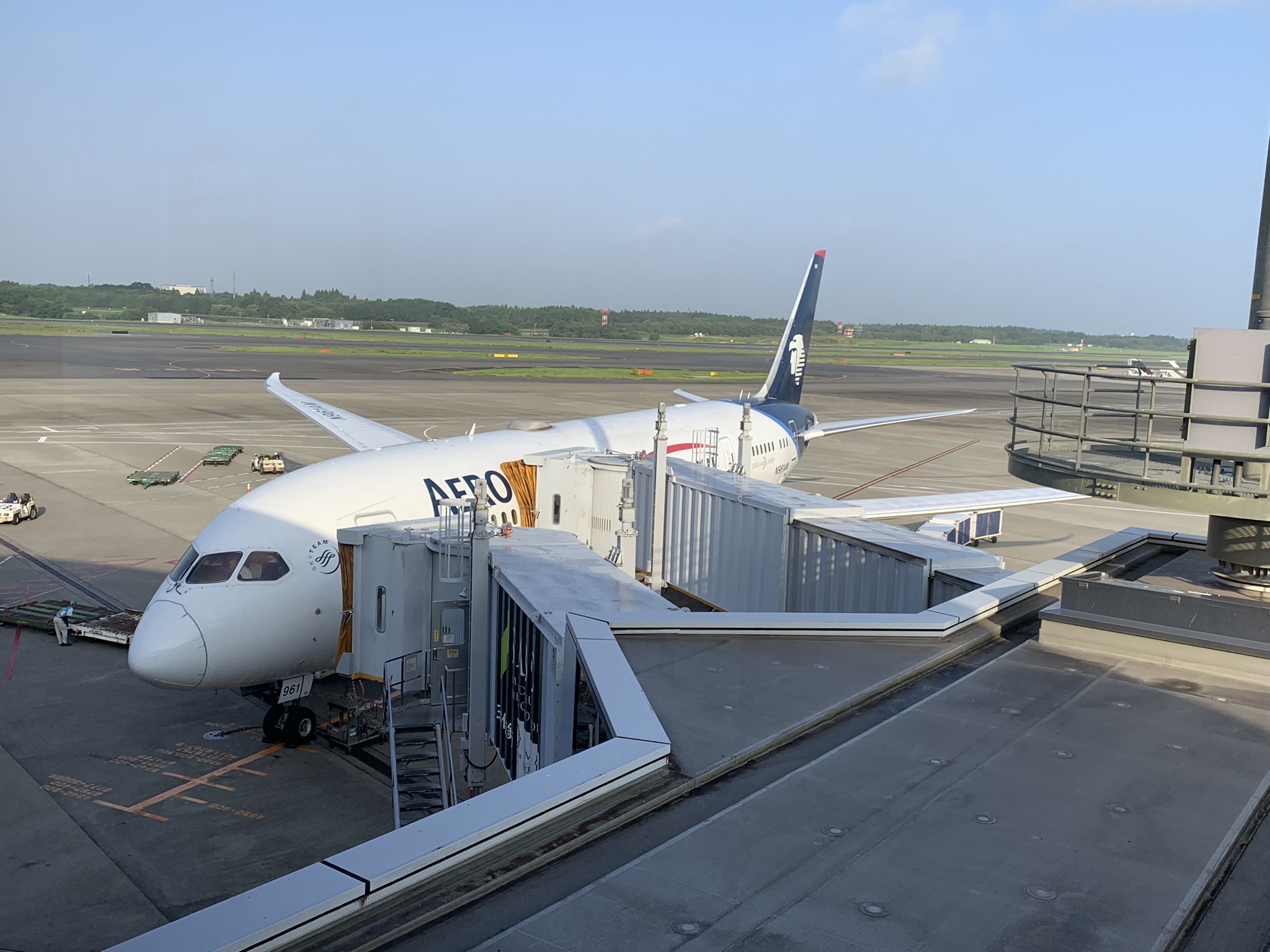（2019年8月アエロメヒコ航空搭乗記58便）ブエノスアイレス－成田のビジネスクラス、南米旅行には最適ではないかな