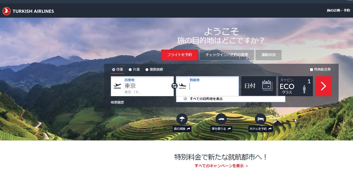 2020年夏の旅行のチケットの高騰を予想して、ソウル発のターキッシュエアラインで確保したのだが、正しかったかな？