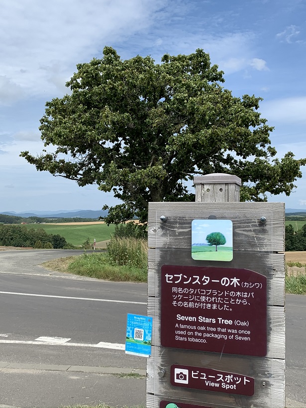 美瑛での“ケンとメリーの木”も“セブンスターの木”も必見の定番ですが、木ばかりみても、これが飽きるんだな