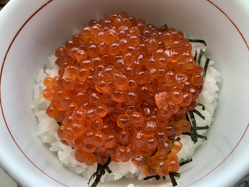 ウトロでは「漁協婦人部食堂」でいくら丼を食す、家族評では今回の旅行の中で一番おいしい“いくら”だった