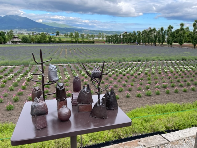 ［2023年夏北海道一周7］トマムの雲海テラスは早朝しか営業していないのね