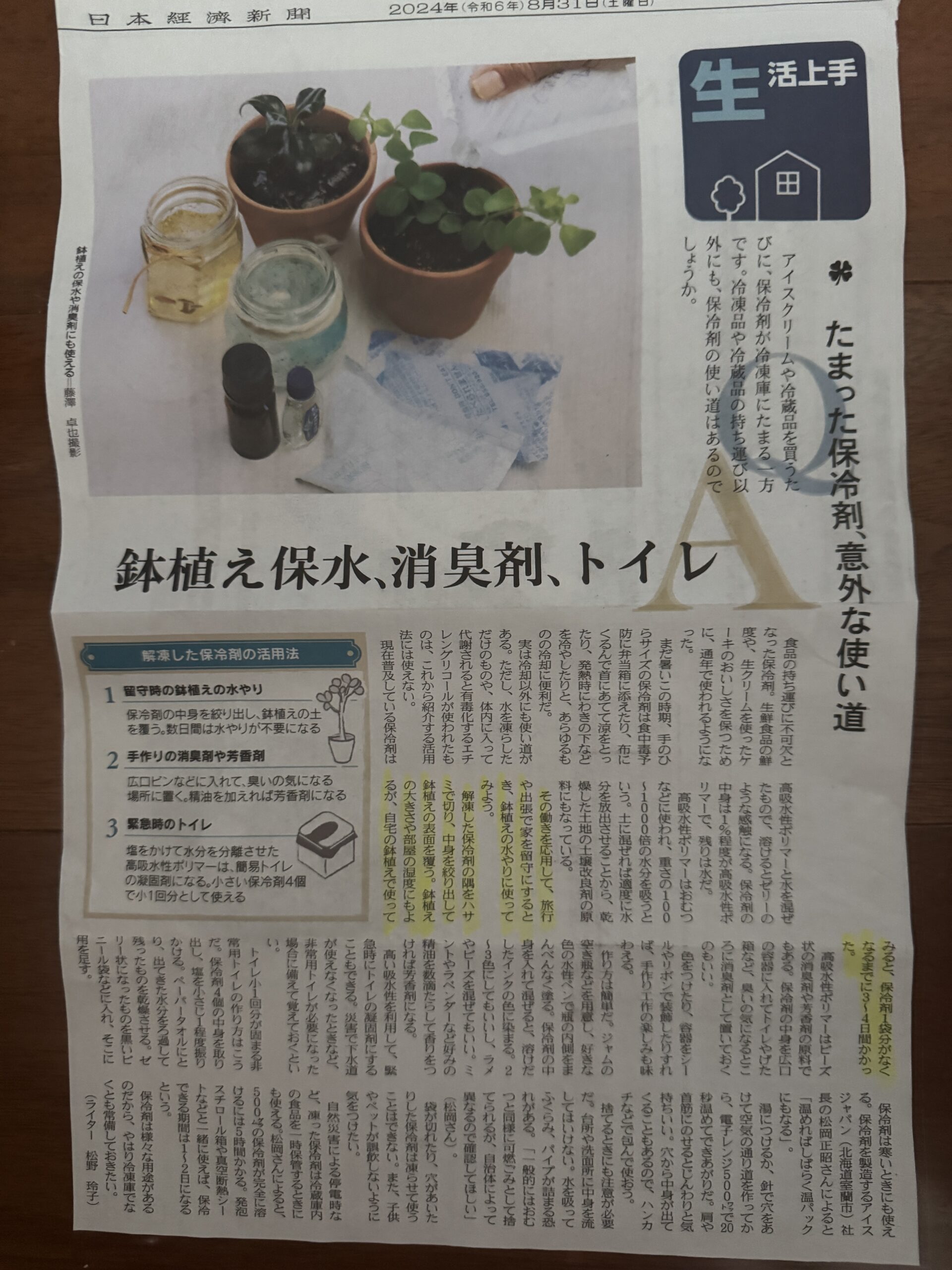 旅行中のグリーンの水やり、保冷剤をこんな風に使えばいいんだ、目から鱗