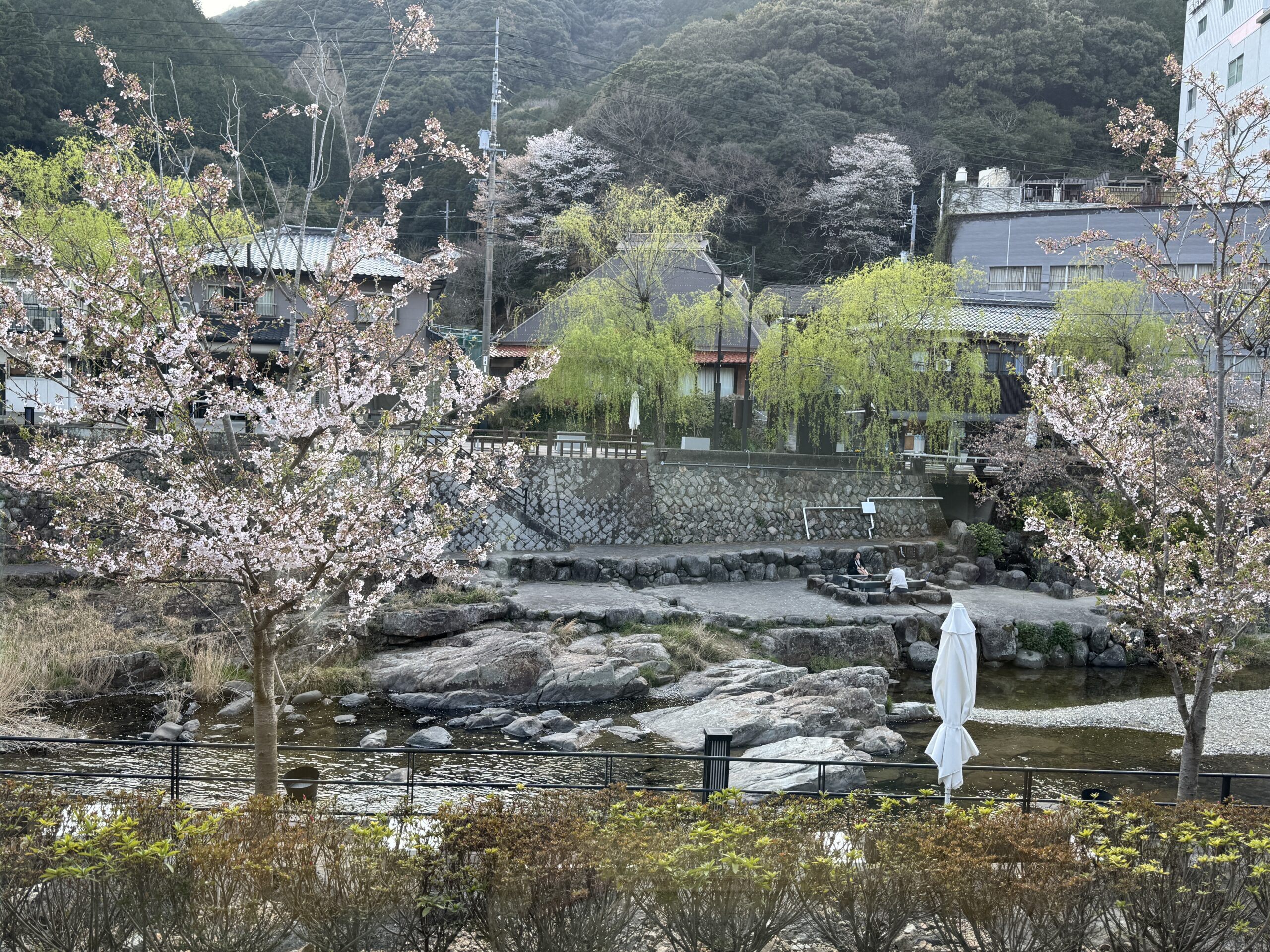 湯本温泉の「星野リゾート 界 長門」に宿泊、川沿いの眺めは絶景、桜満開